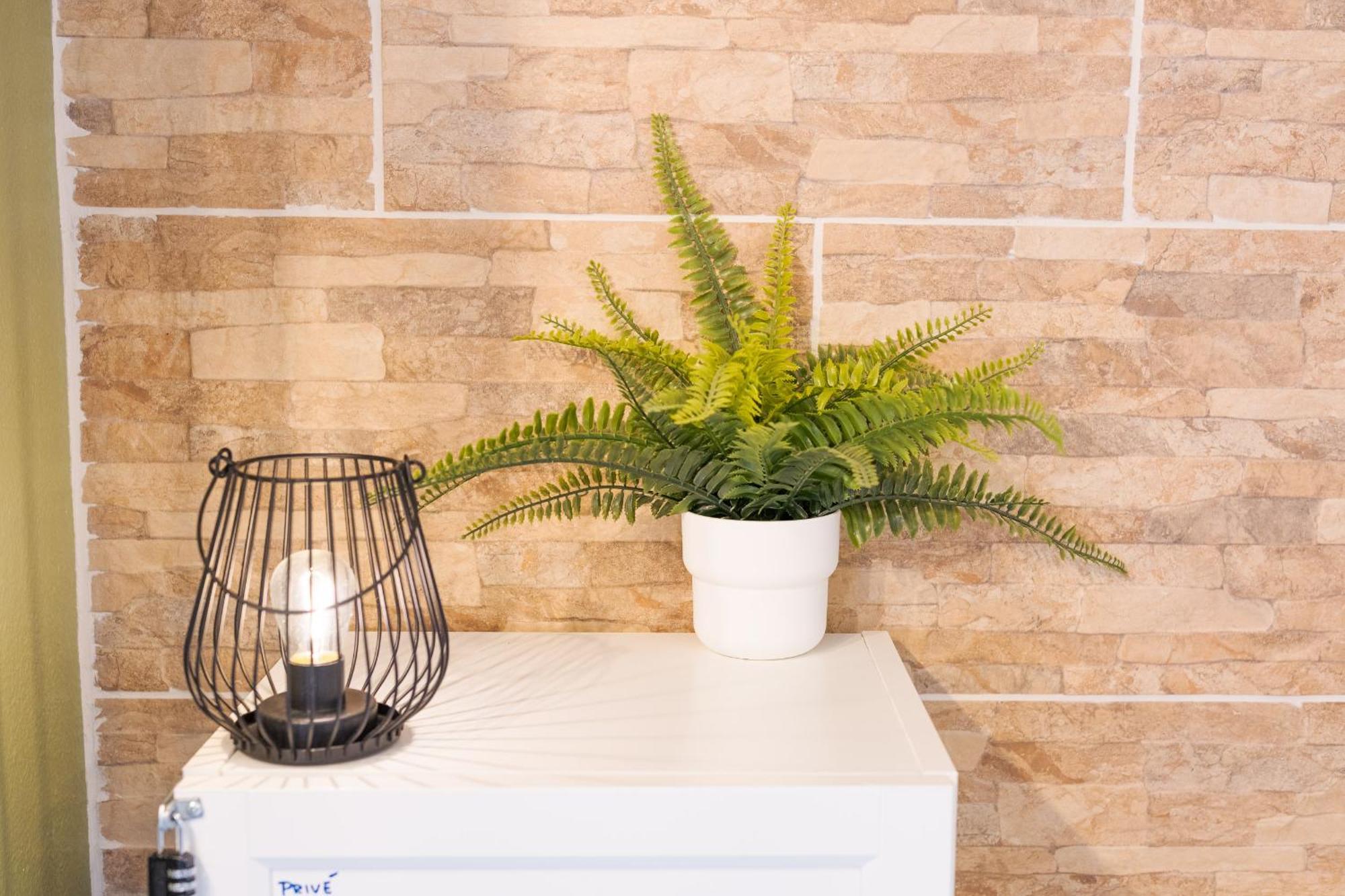 Les Elfes - Avec Entree Autonome, Clim Neuve, Jardin, Parking Prive & Gourmandises Offertes ! - Apartment Тулуза Екстериор снимка