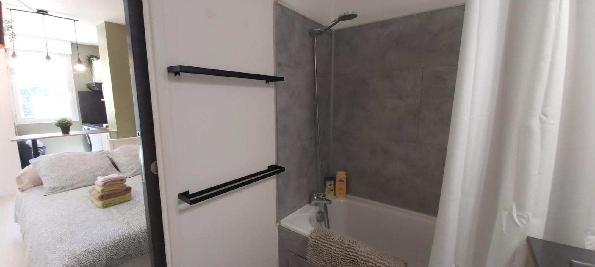 Les Elfes - Avec Entree Autonome, Clim Neuve, Jardin, Parking Prive & Gourmandises Offertes ! - Apartment Тулуза Екстериор снимка